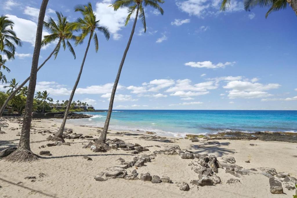 Hawaiian-Style Oceanview Across The Street From Historic Magic Sands Beach Park - White Sands Village 202 Kailua-Kona Ngoại thất bức ảnh